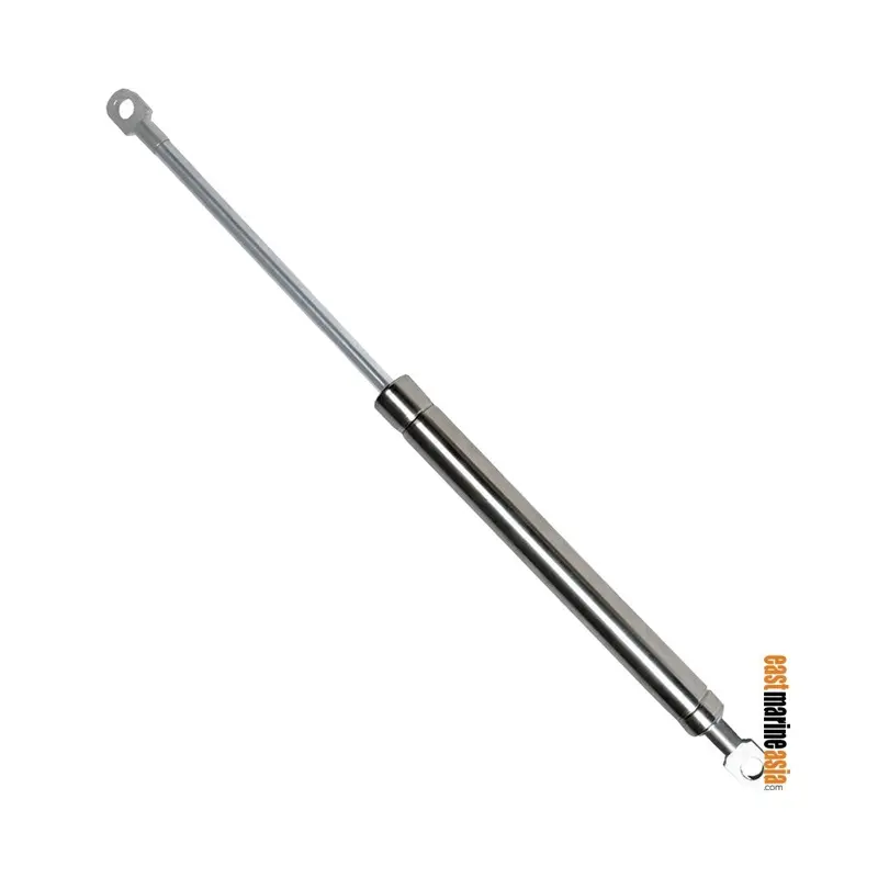 Aisi 316 Stainless Steel Gas Spring – Eye-To-Eye Mounting