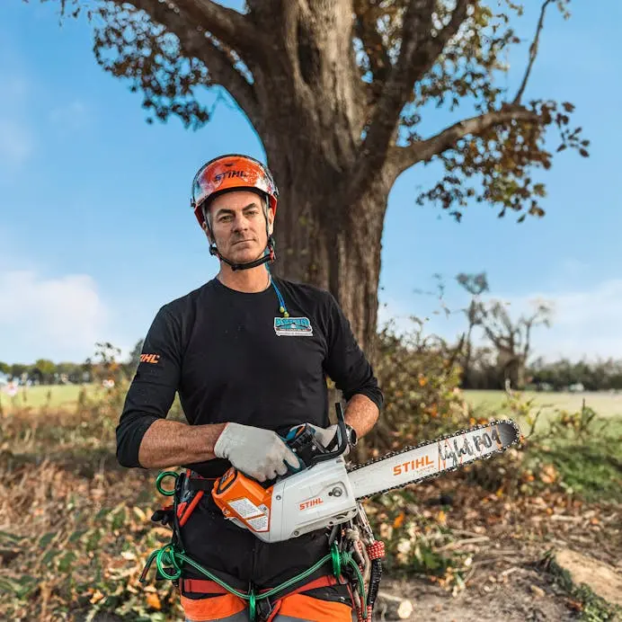 Stihl Msa 220 Tc-O Top-Handle Battery Chainsaw 1